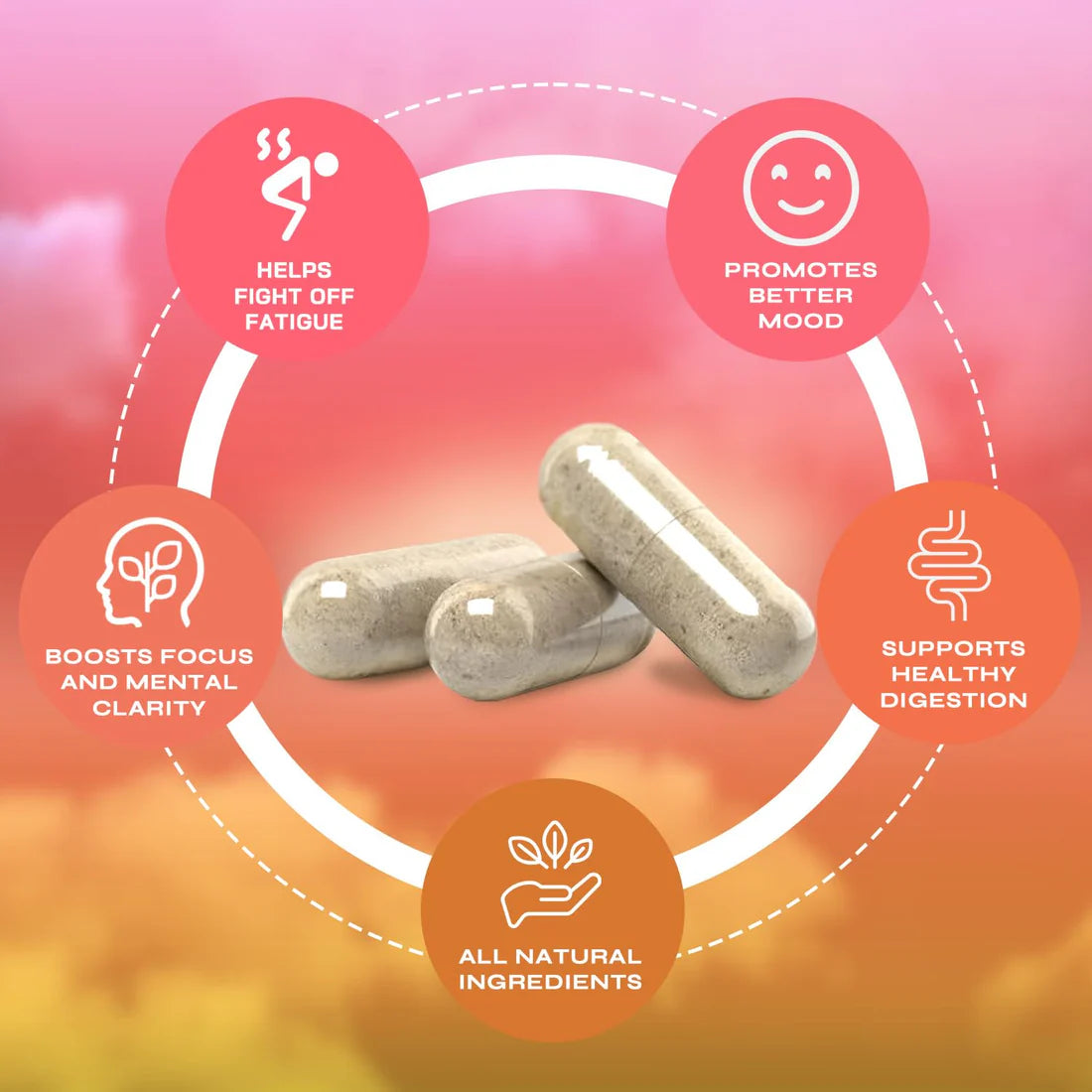 Yerba Mate Capsule