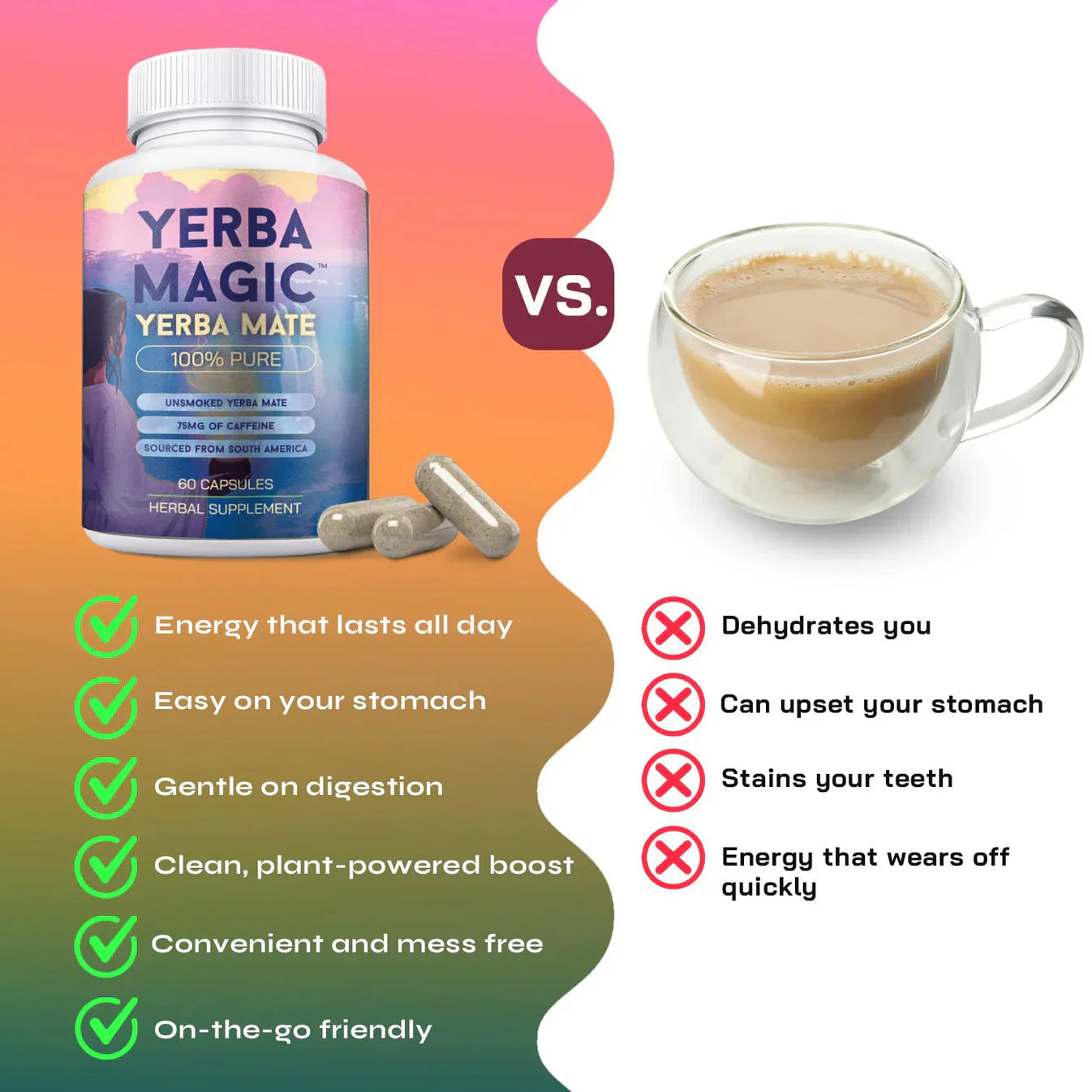 Yerba Mate Capsule