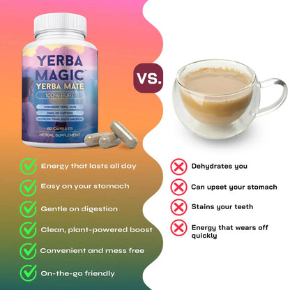Yerba Mate Capsule