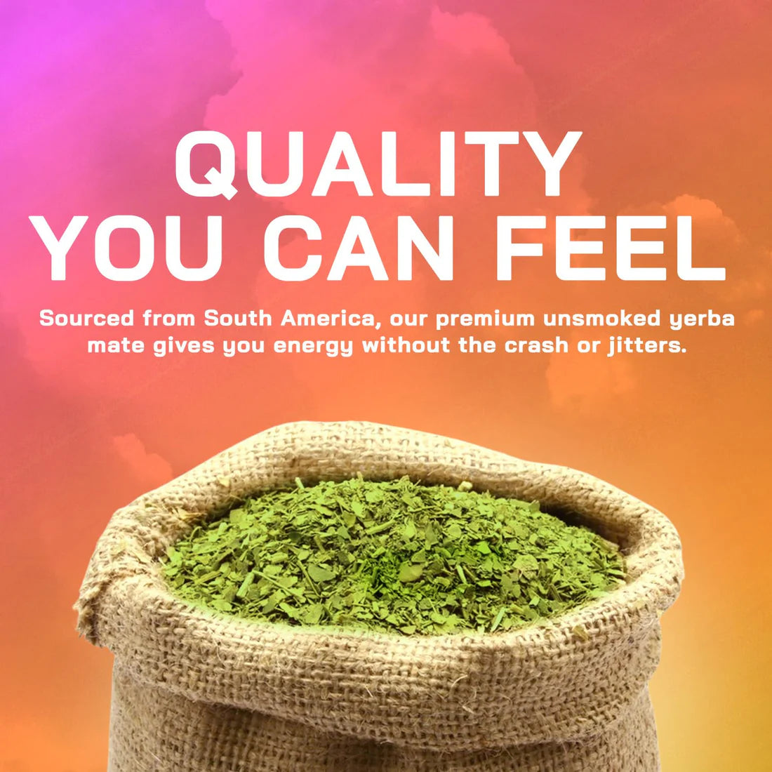 Yerba Mate Capsule